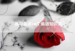 高中英语100个易错知识点