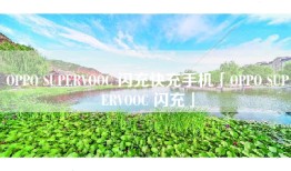 OPPO SUPERVOOC 闪充快充手机「OPPO SUPERVOOC 闪充」