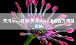 天河360seo排名 天河360SEO排名提升策略揭秘