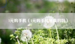 1元购手机（1元购手机是真的吗）