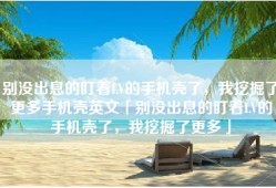 别没出息的盯着LV的手机壳了，我挖掘了更多手机壳英文「别没出息的盯着LV的手机壳了，我挖掘了更多」