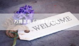 万博手机（万博手机版max）
