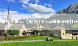 魅族手机root（魅族手机root权限在哪打开）