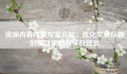 资深内容搜集专家必知：优化文章标题的高效策略与实战经验