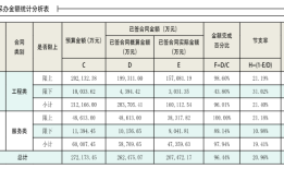 中海油气（泰州）石化一体化项目合同管理