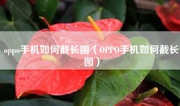 oppo手机如何截长图（OPPO手机如何截长图）