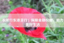 农发行东港支行：保障金融权益，助力美好生活