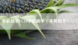 手机助手V1.3.0手机助手「手机助手V1.3.0」