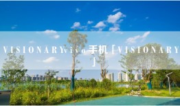 V I S I O N A R Yv i v o 手机「V I S I O N A R Y」