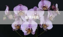 聪讯科技