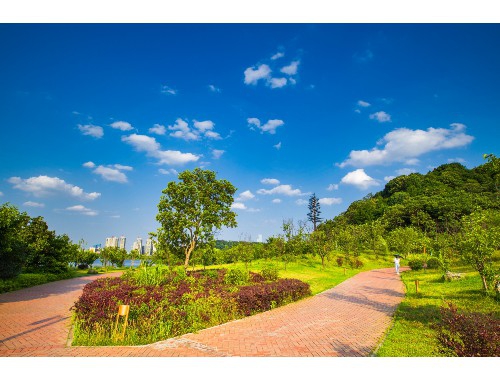 六年级语文下册《北京的春节》教学课件.pptxVIP