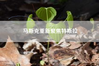 马斯克重新聚焦特斯拉