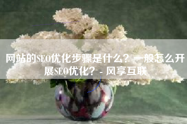网站的SEO优化步骤是什么？一般怎么开展SEO优化？- 风享互联
