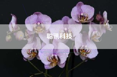 聪讯科技
