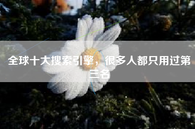 全球十大搜索引擎，很多人都只用过第三名