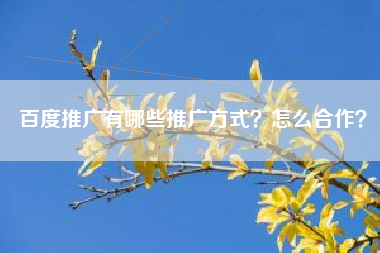 百度推广有哪些推广方式？怎么合作？