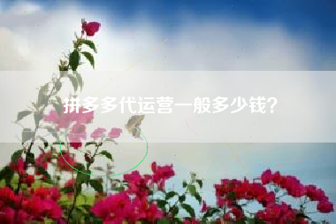 拼多多代运营一般多少钱？