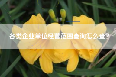 各类企业单位经营范围查询怎么查？
