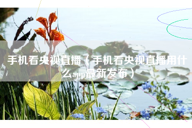 手机看央视直播（手机看央视直播用什么app最新发布）