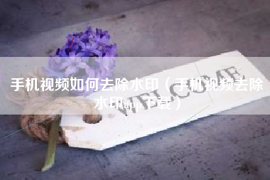 手机视频如何去除水印（手机视频去除水印app下载）