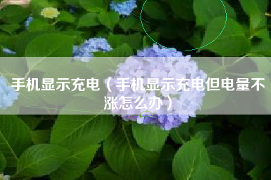 手机显示充电（手机显示充电但电量不涨怎么办）