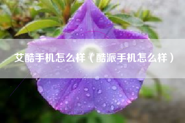 艾酷手机怎么样（酷派手机怎么样）