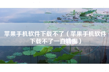 苹果手机软件下载不了（苹果手机软件下载不了一直转圈）