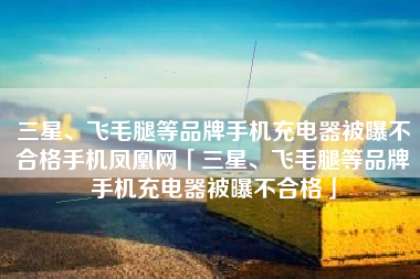 三星、飞毛腿等品牌手机充电器被曝不合格手机凤凰网「三星、飞毛腿等品牌手机充电器被曝不合格」