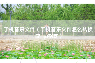 手机音乐文件（手机音乐文件怎么转换成mp3格式）