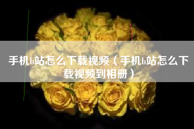 手机b站怎么下载视频（手机b站怎么下载视频到相册）