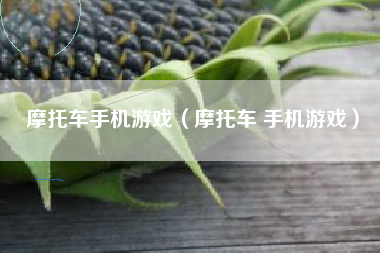 摩托车手机游戏（摩托车 手机游戏）