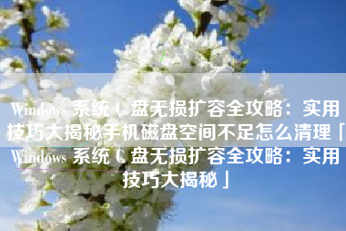 Windows 系统 C 盘无损扩容全攻略：实用技巧大揭秘手机磁盘空间不足怎么清理「Windows 系统 C 盘无损扩容全攻略：实用技巧大揭秘」