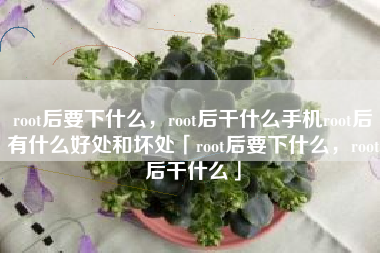 root后要下什么，root后干什么手机root后有什么好处和坏处「root后要下什么，root后干什么」