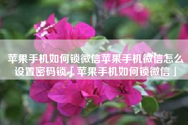 苹果手机如何锁微信苹果手机微信怎么设置密码锁「苹果手机如何锁微信」