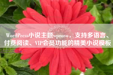 WordPress小说主题wpnovo，支持多语言、付费阅读、VIP会员功能的精美小说模板