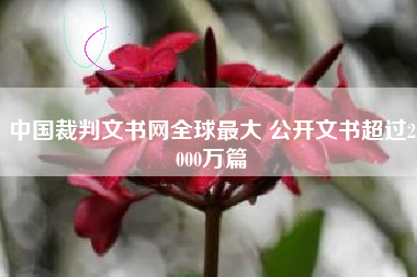 中国裁判文书网全球最大 公开文书超过2000万篇
